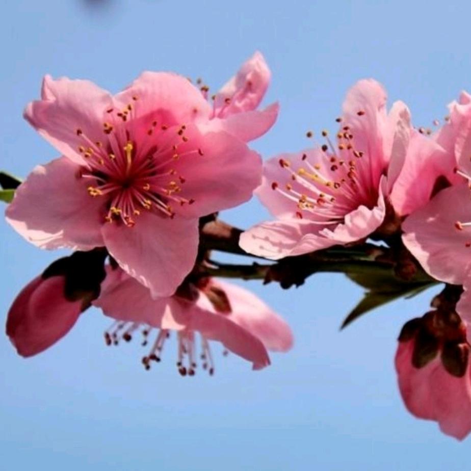 冬暖夏凉