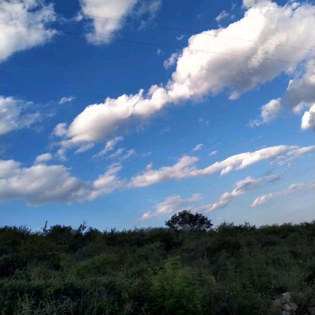 盂县东华石材雕刻厂