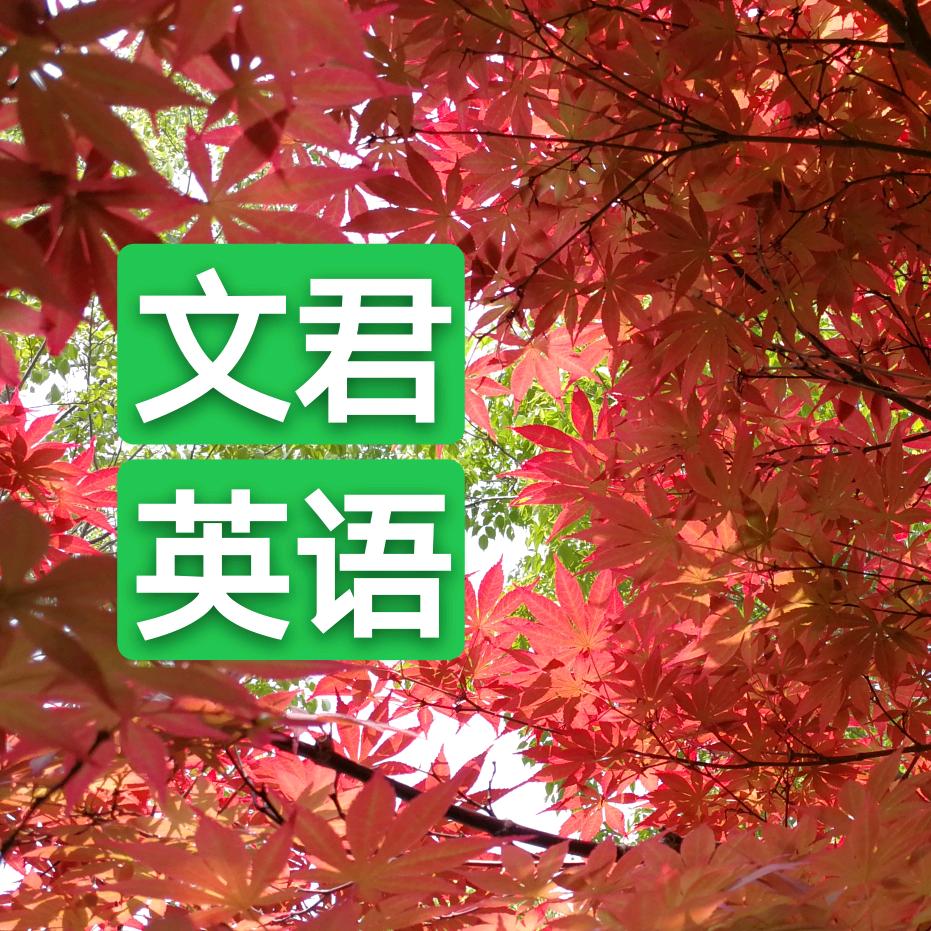 文君英语