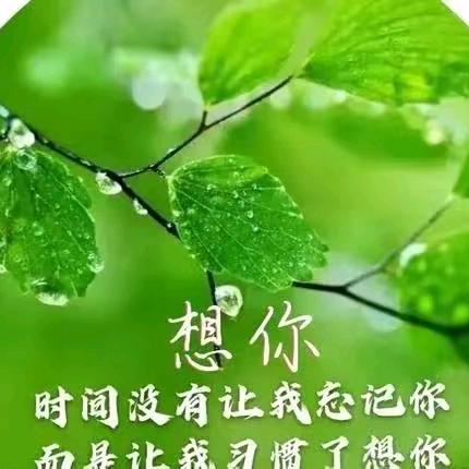 予你在一起