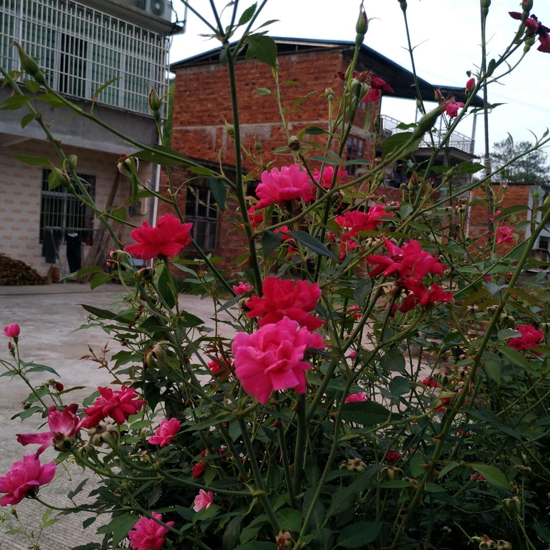 健康在于运动与开心