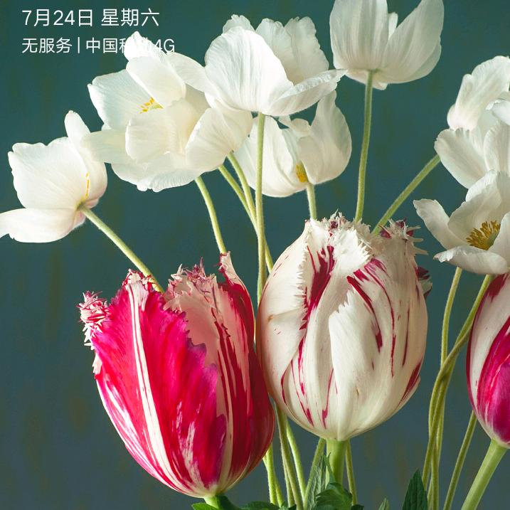 斯文兰兰