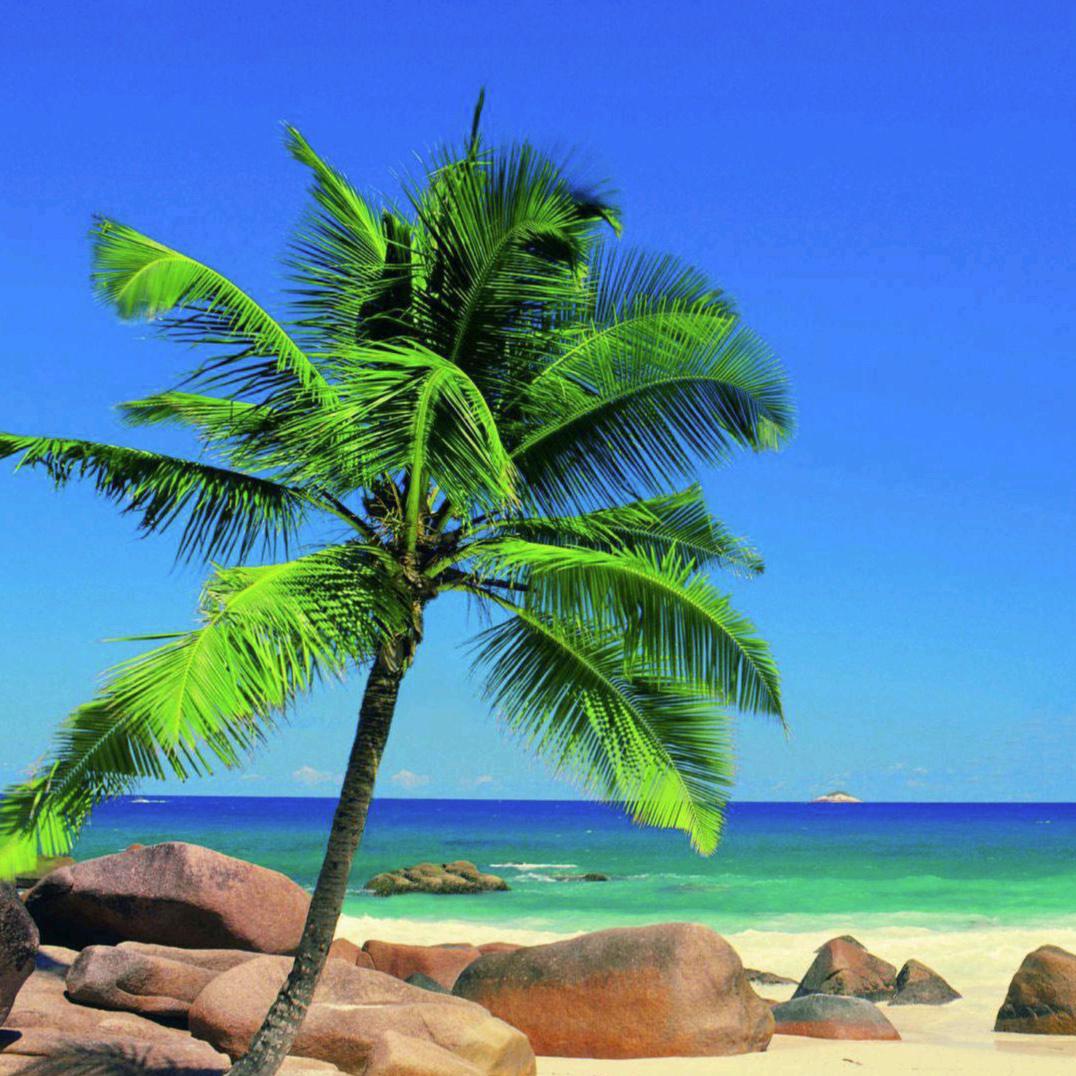 和平年代新时代民生杜英