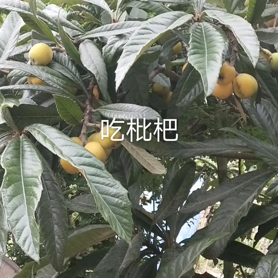 心痛眼泪