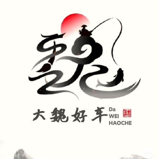 大魏好车