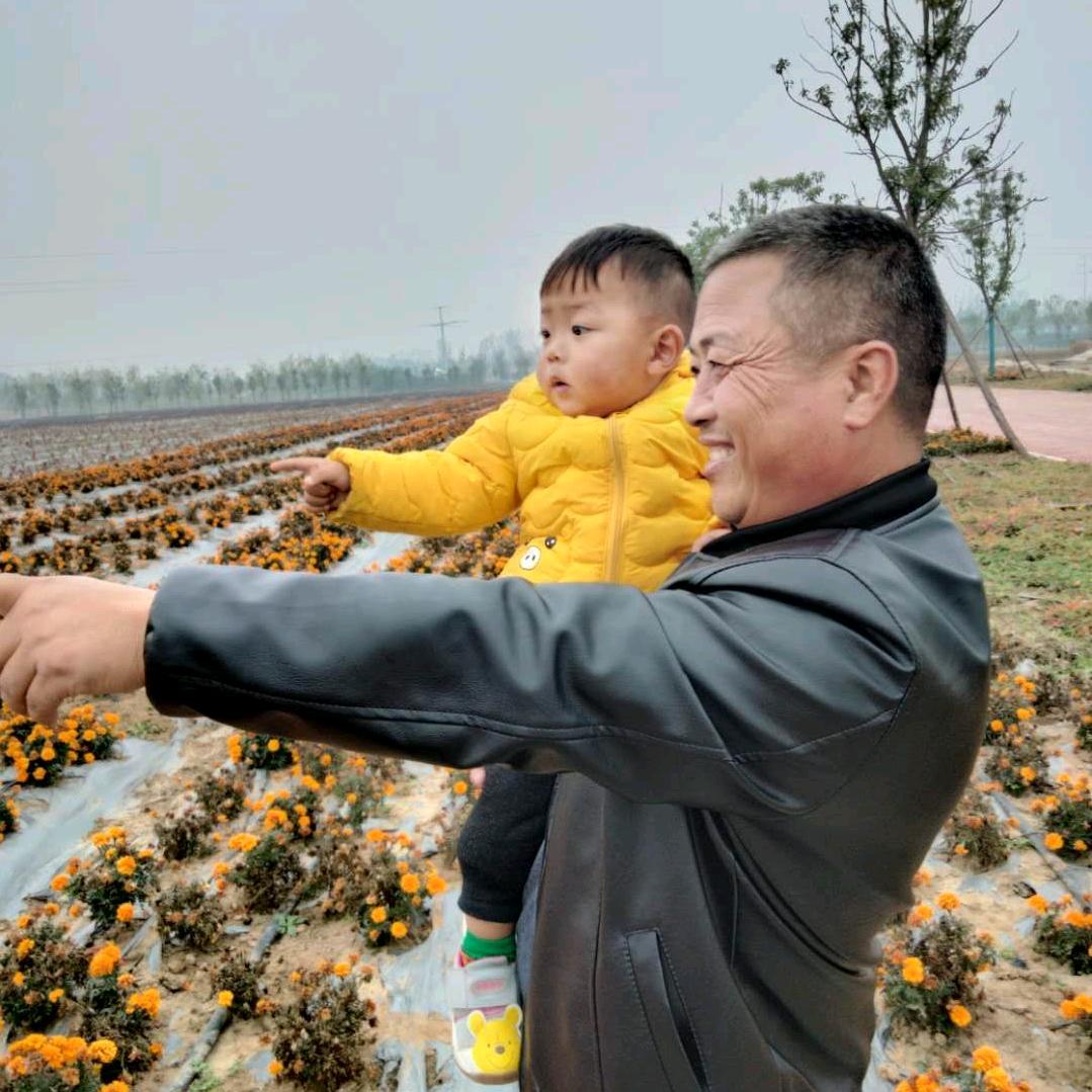 2019年错误的选择