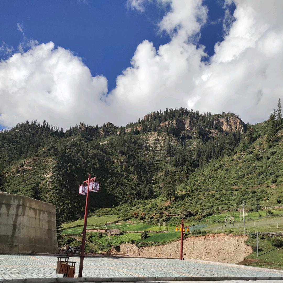 所谓的缘💕💕💕💕💕