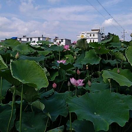 一生平安