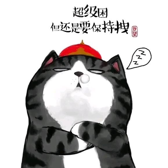 大鱼🐟