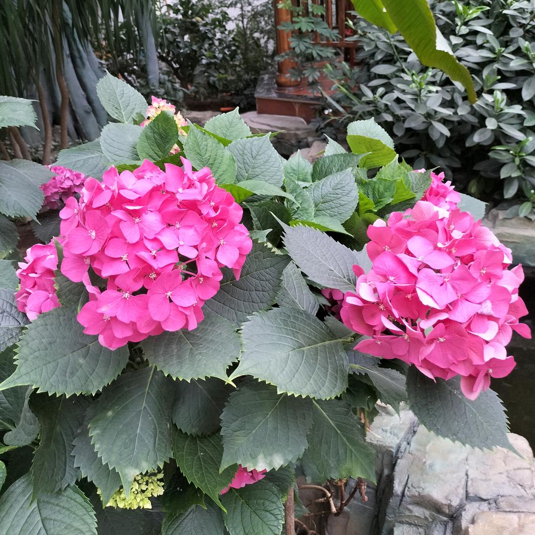 春暖🌸开