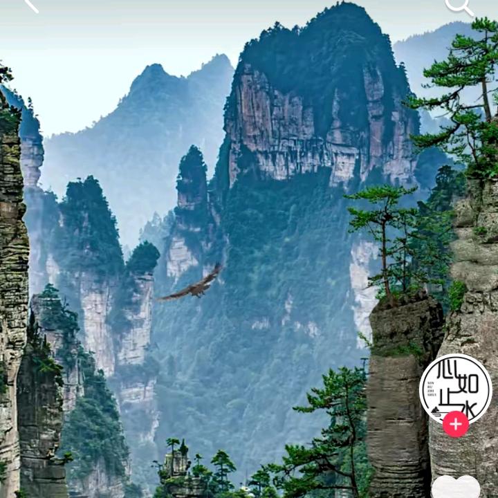 中国心