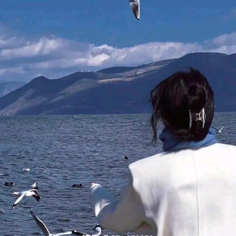 张温柔