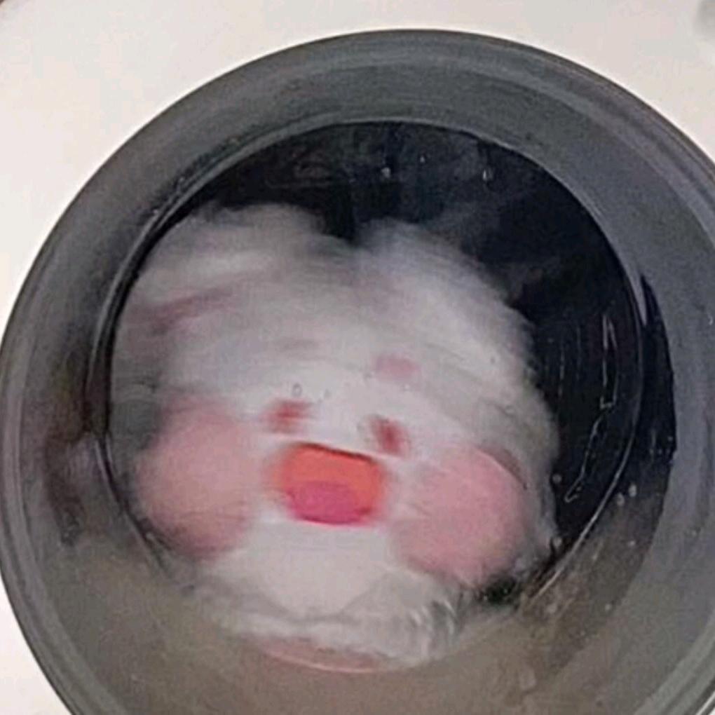 大家都是傻蛋有什么好争的