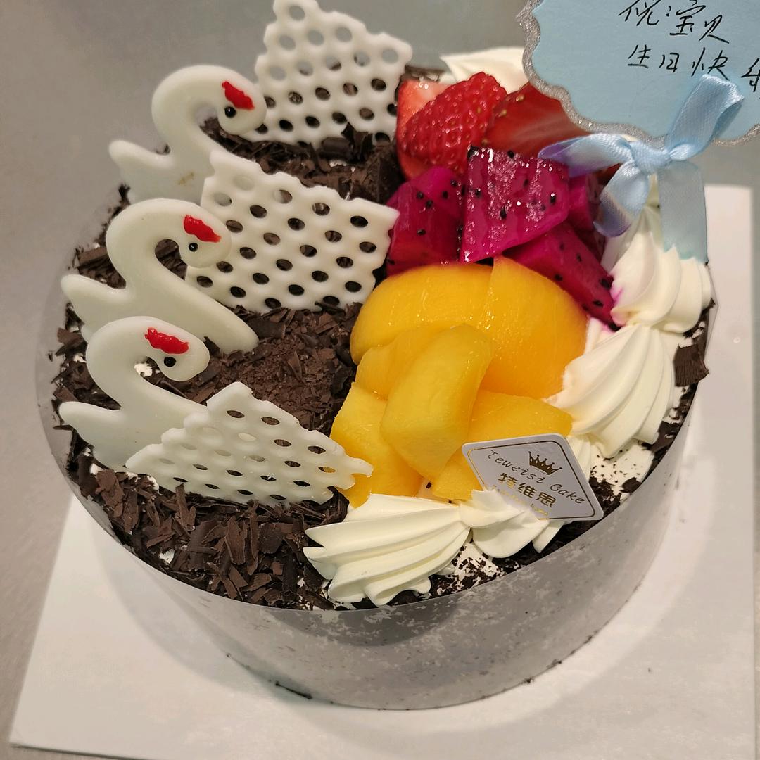拒绝聊天阳光明媚《不定时直播》