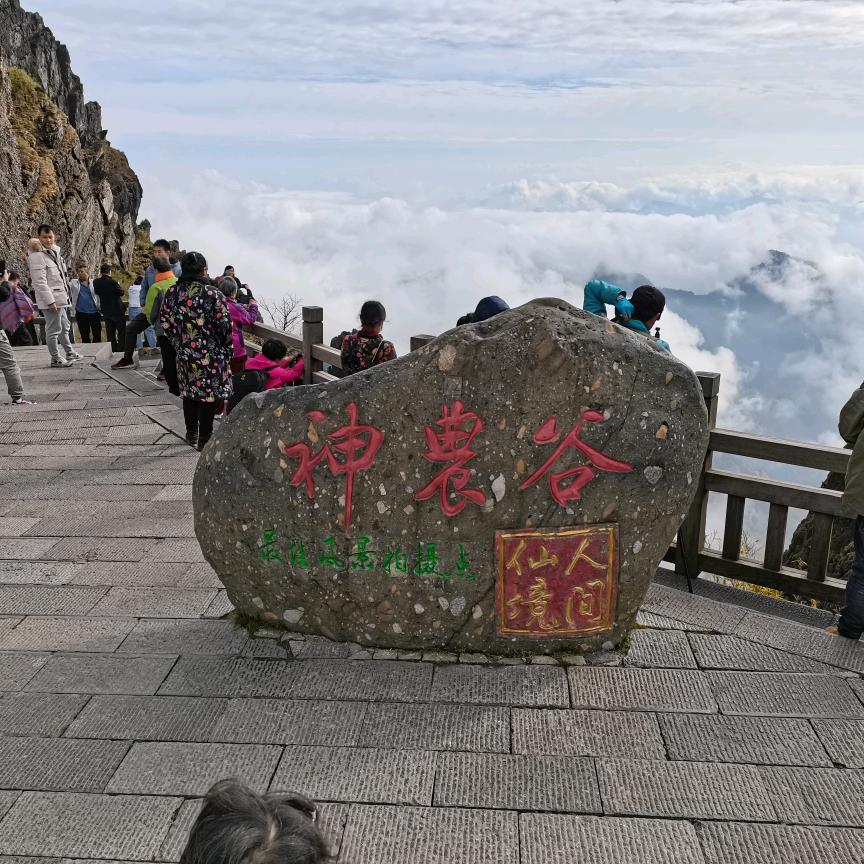 重庆刘哥