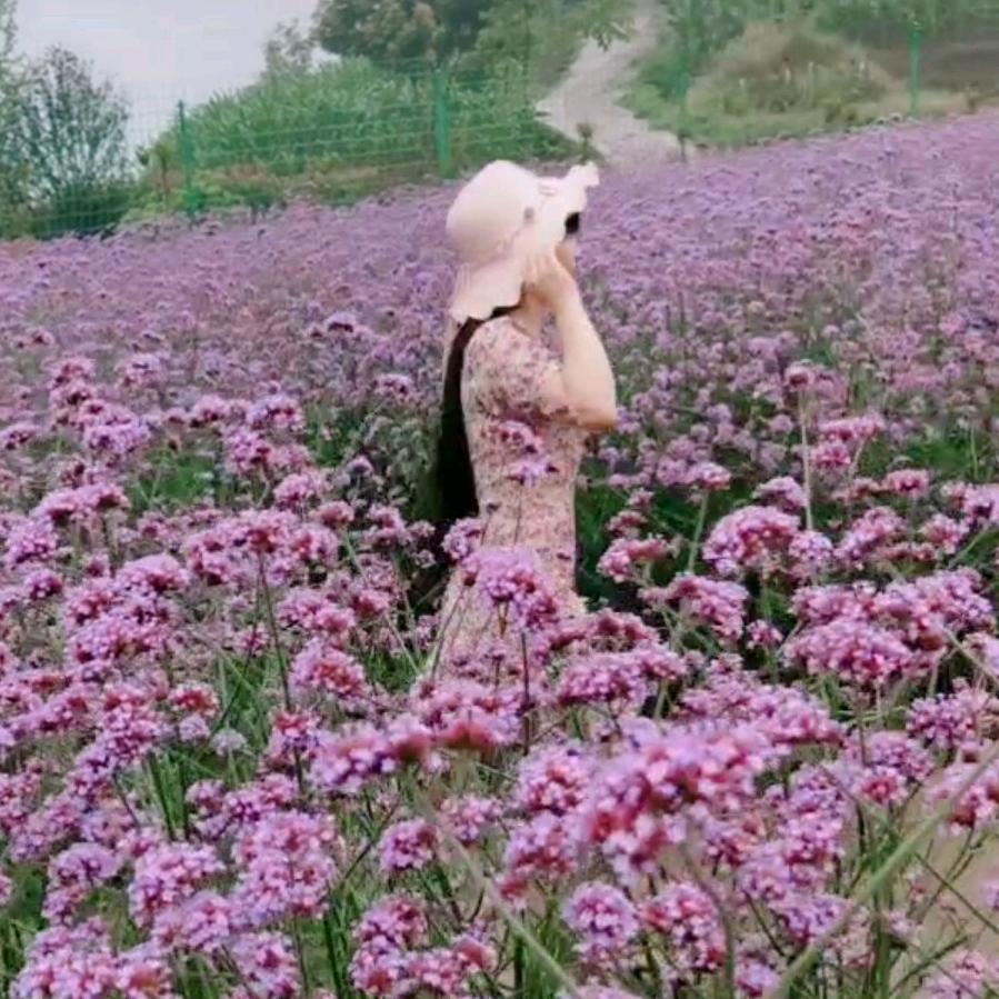 🍃🌸小玉儿