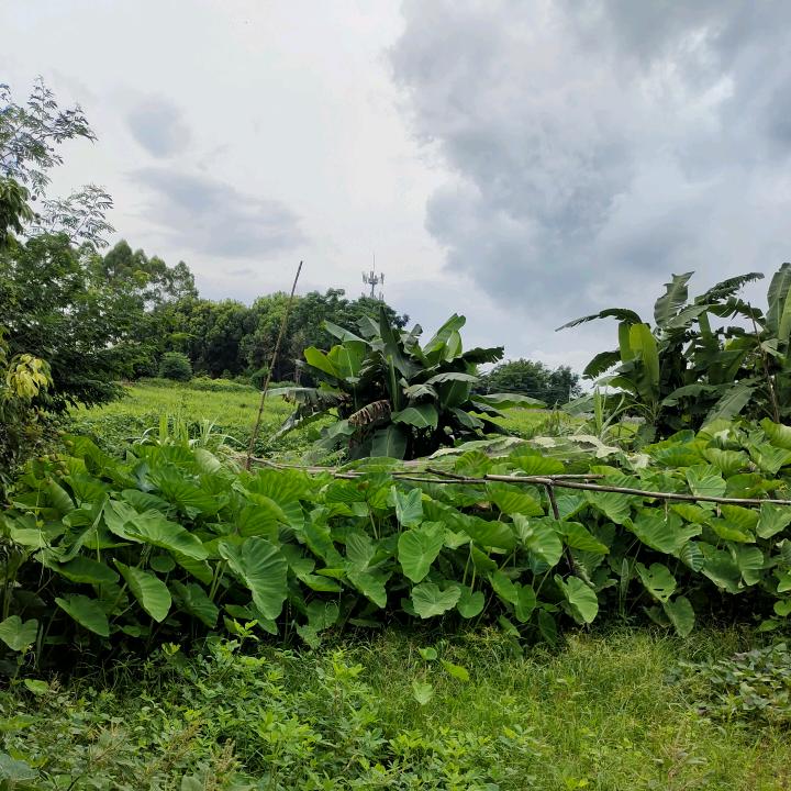 做一个快乐的自己