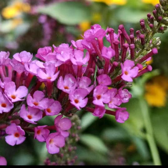 重新开始😊😊