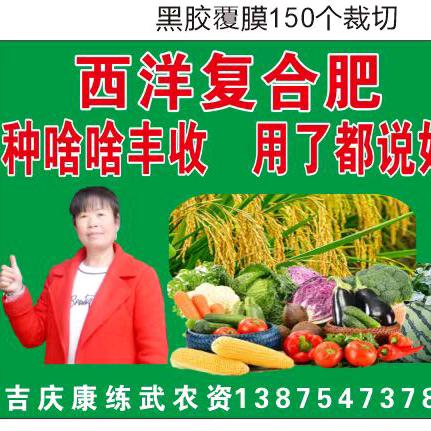 康练武吉庆农资店