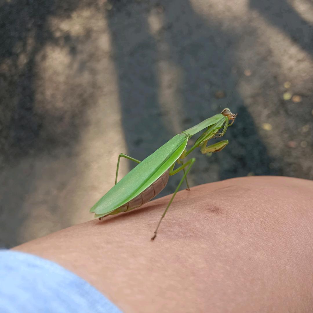 风吹沙 xx