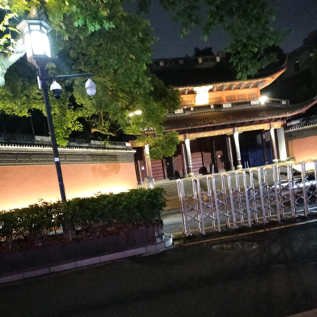 自由飞翔!