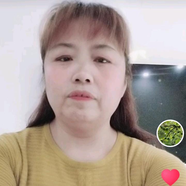 避风港🌻