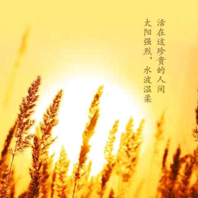李军民