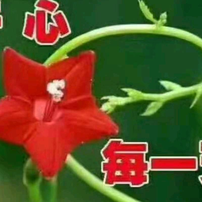 彩云追月