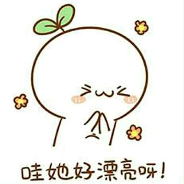橙子🍊