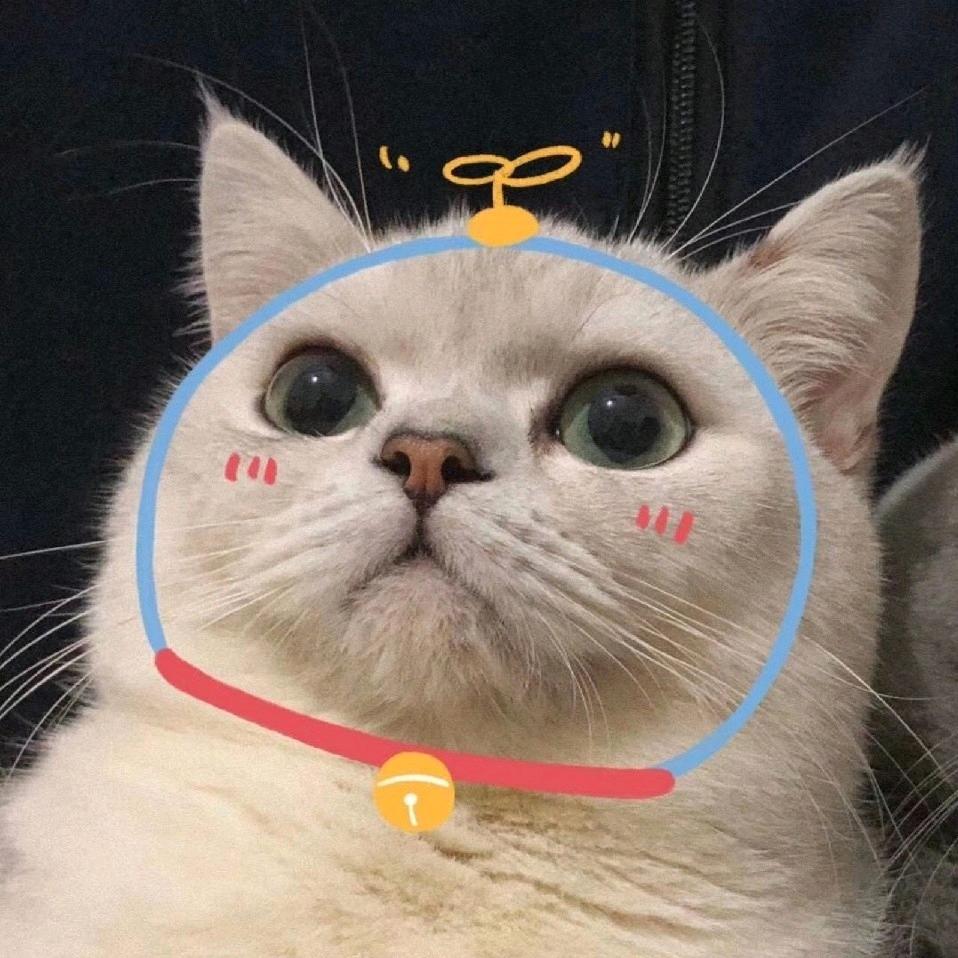 野生小叮当