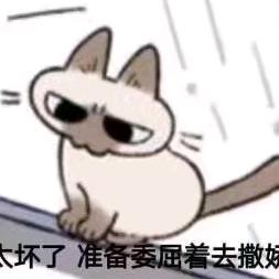 喜欢毛线的喵