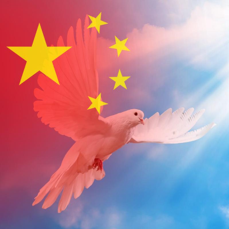 鑫梦乔