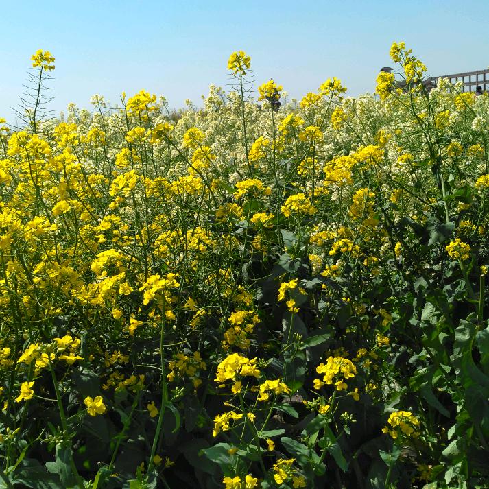 醒悟人生活出自我