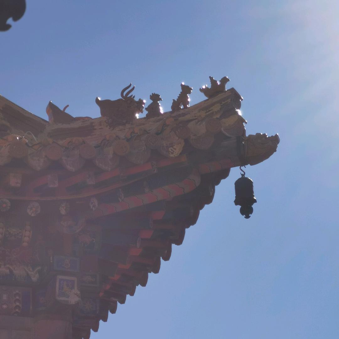 哈喽你好啊