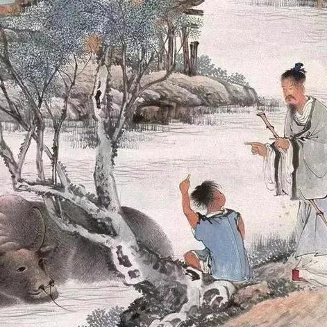 清徐窗帘墙布石接如鱼得水