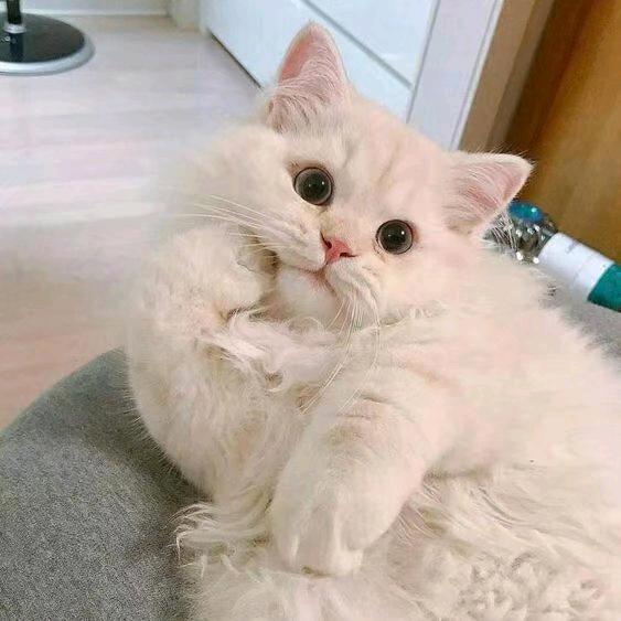 婷～
