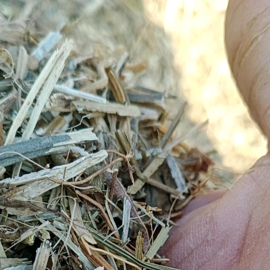 起源草业