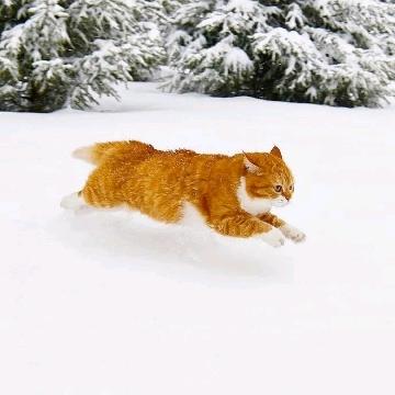 生动有力（家长教练-陈）