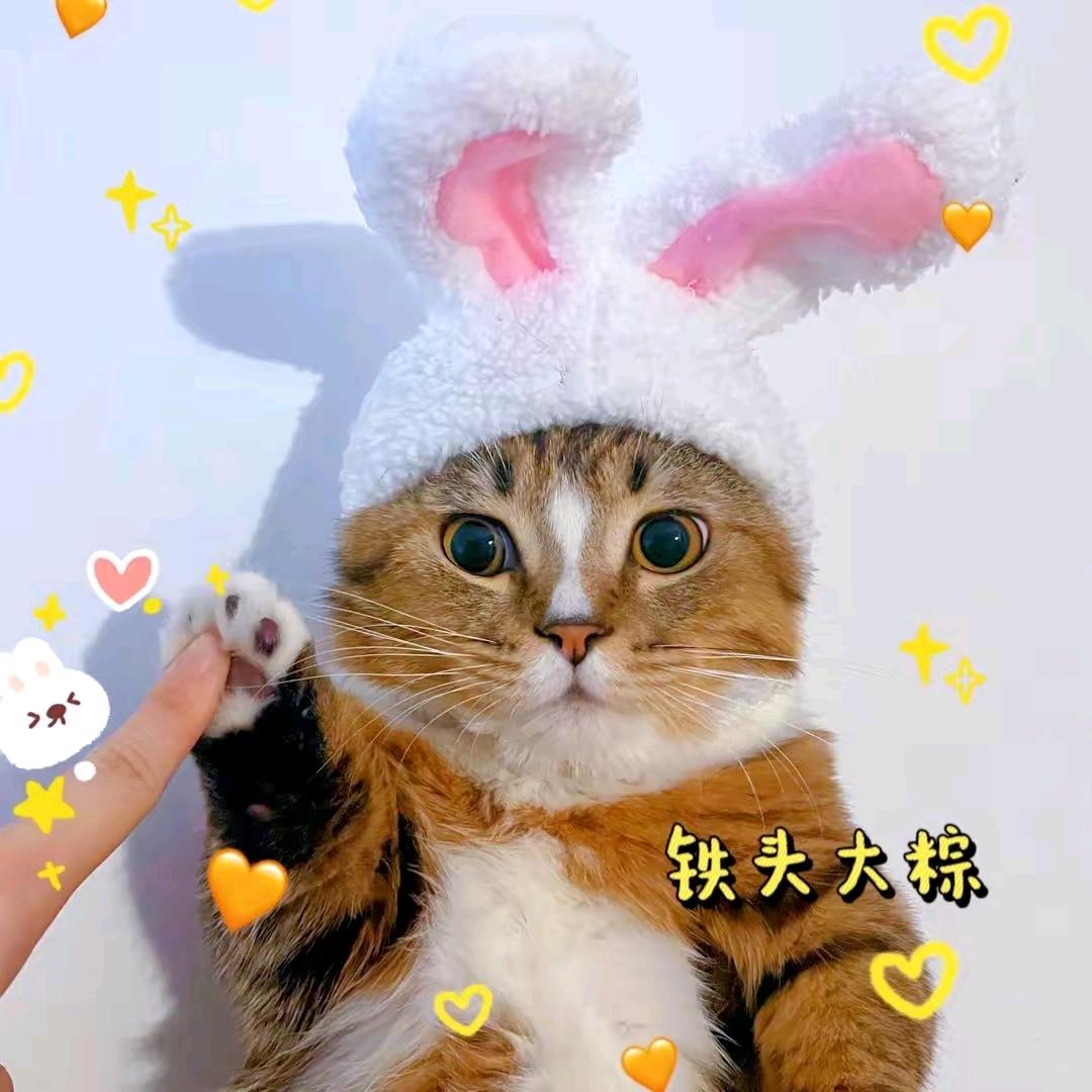 铁头大粽子