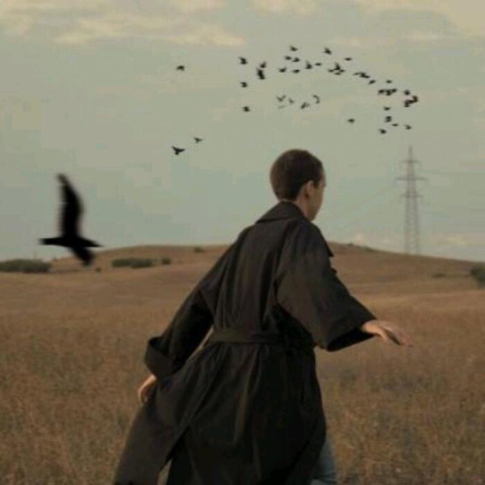 飞飞不是作曲家