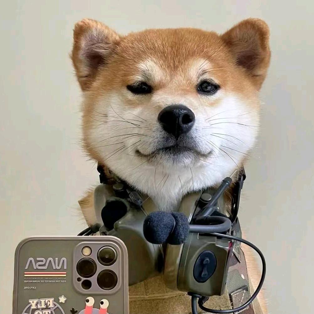 愚暗