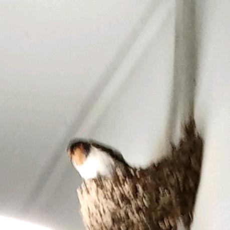 雨巷       ⚠       ╰╮