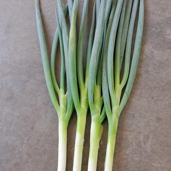天涯