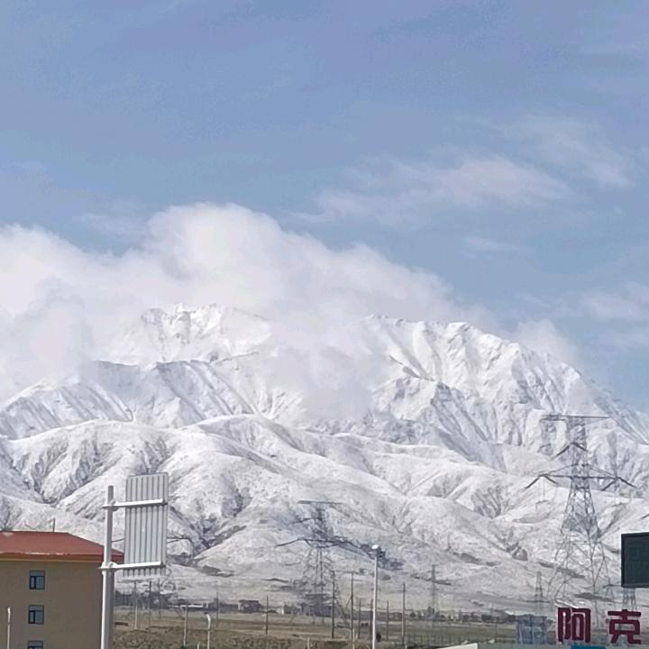 豪哥_162106726