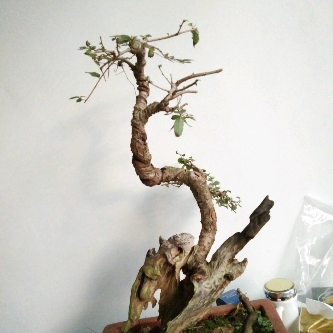 创意工作室