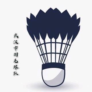 武汉市羽毛球队
