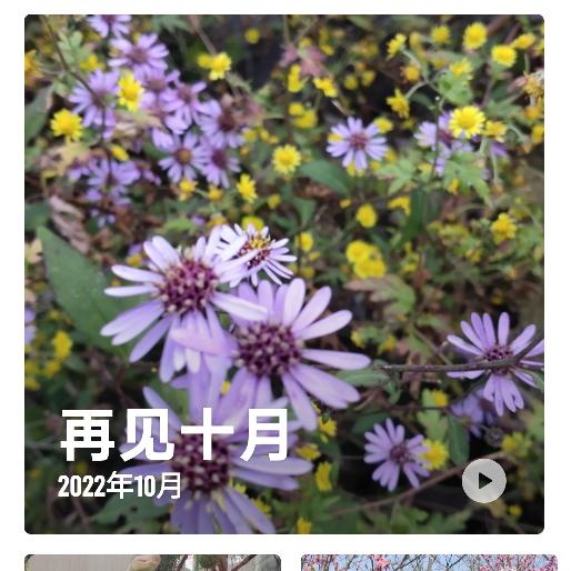 容颜依旧