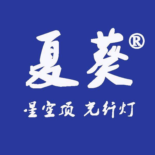 夏葵星空顶