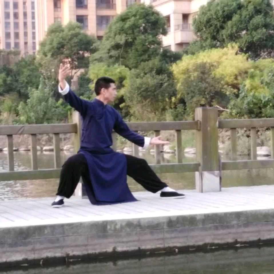 老李武医道