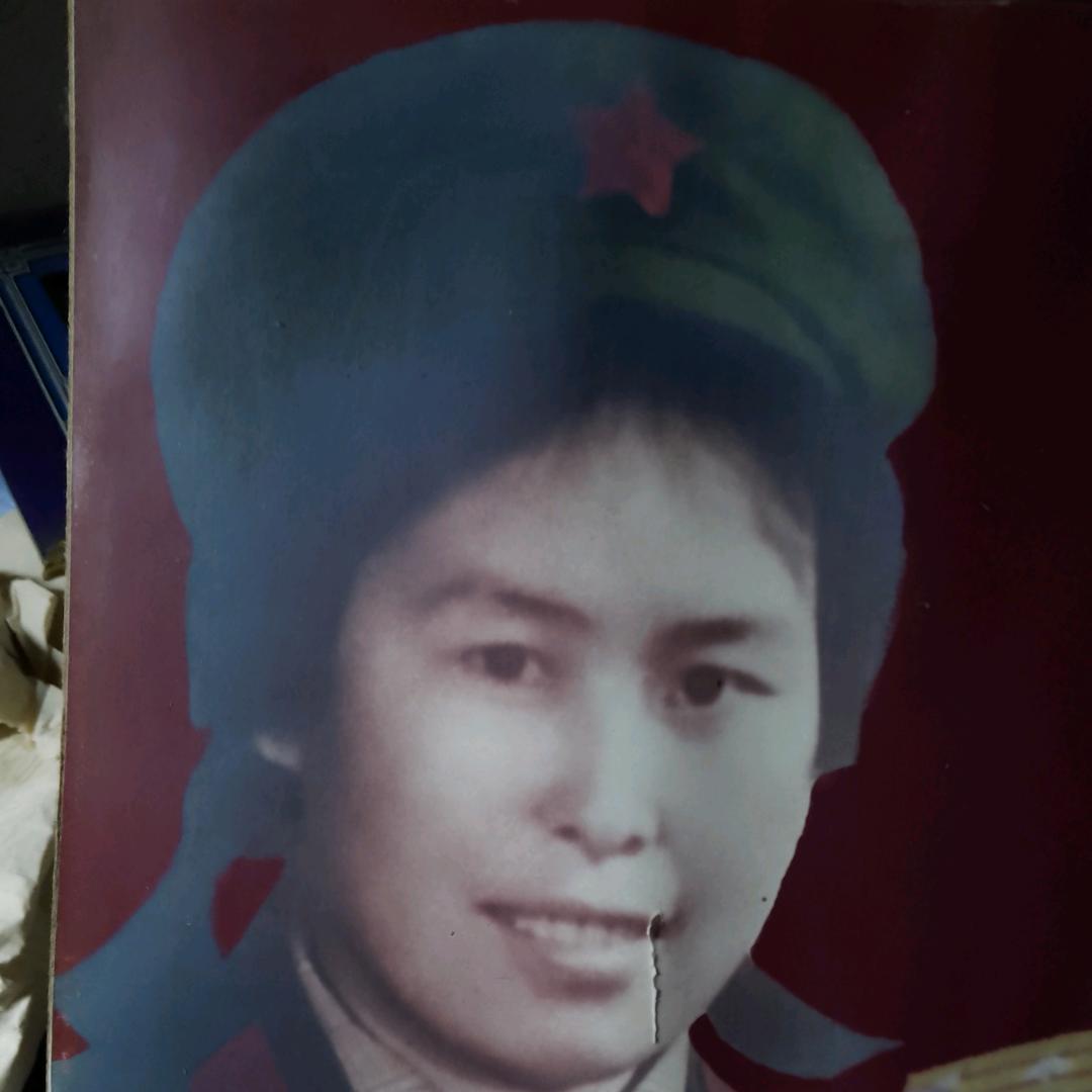 梅花四季